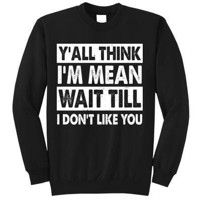Funny Y'all Think I'm Mean Wait Till I Don't Like You Sweatshirt