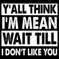 Funny Y'all Think I'm Mean Wait Till I Don't Like You Sweatshirt