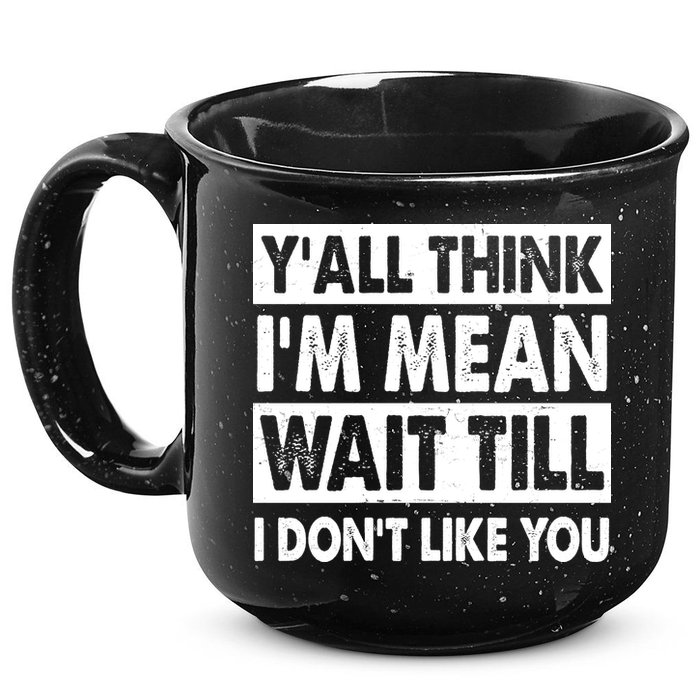 Funny Y'all Think I'm Mean Wait Till I Don't Like You 15oz Campfire Ceramic Mug