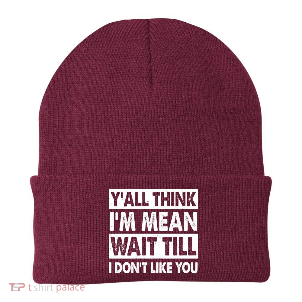 Funny Y'all Think I'm Mean Wait Till I Don't Like You Beanie