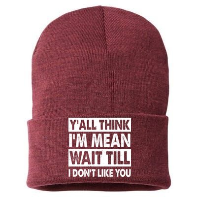 Funny Y'all Think I'm Mean Wait Till I Don't Like You Sustainable Knit Beanie