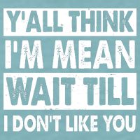 Funny Y'all Think I'm Mean Wait Till I Don't Like You Sueded Cloud Jersey T-Shirt