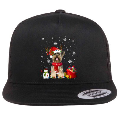 Funny Yorkshire Terrier Christmas Tree Lights Dog Puppy Funny Gift Flatbill Hat