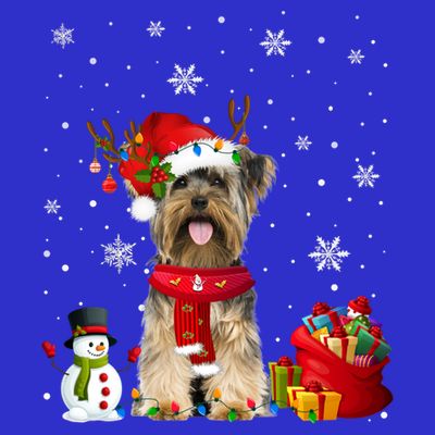 Funny Yorkshire Terrier Christmas Tree Lights Dog Puppy Funny Gift T-Shirt