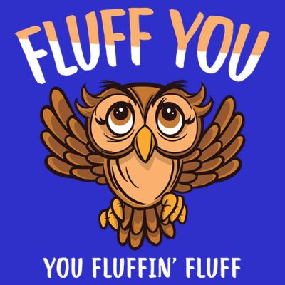 Fluff You You Fluffin Fluff Birds Lover Funny Birds Great Gift T-Shirt