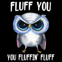 Fluff You You Fluffin' Fluff Owl Gift Drawstring Bag