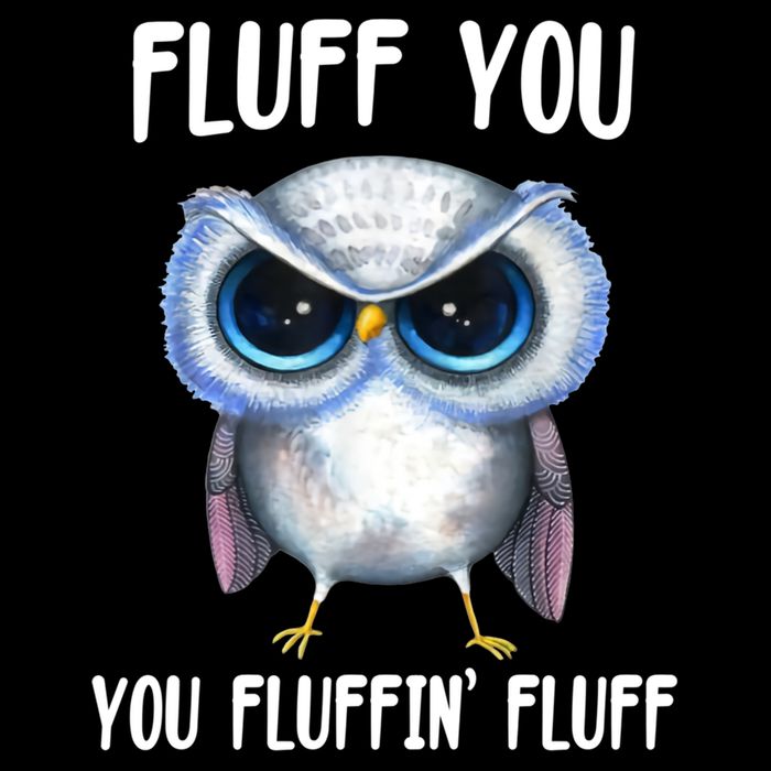 Fluff You You Fluffin' Fluff Owl Gift Drawstring Bag