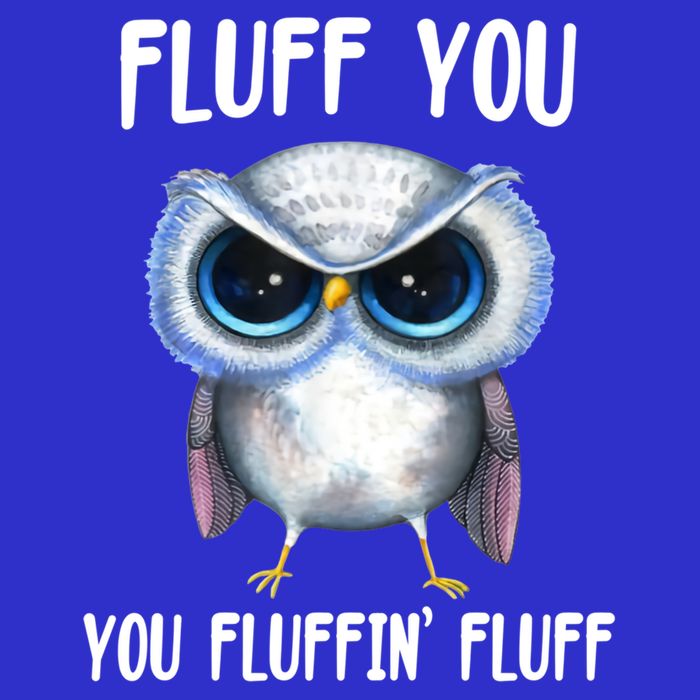 Fluff You You Fluffin' Fluff Owl Gift Toddler Sweatshirt