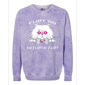 Fluff You You Fluffin' Fluff Gift Funny Cat Kitten Meaningful Gift Colorblast Crewneck Sweatshirt