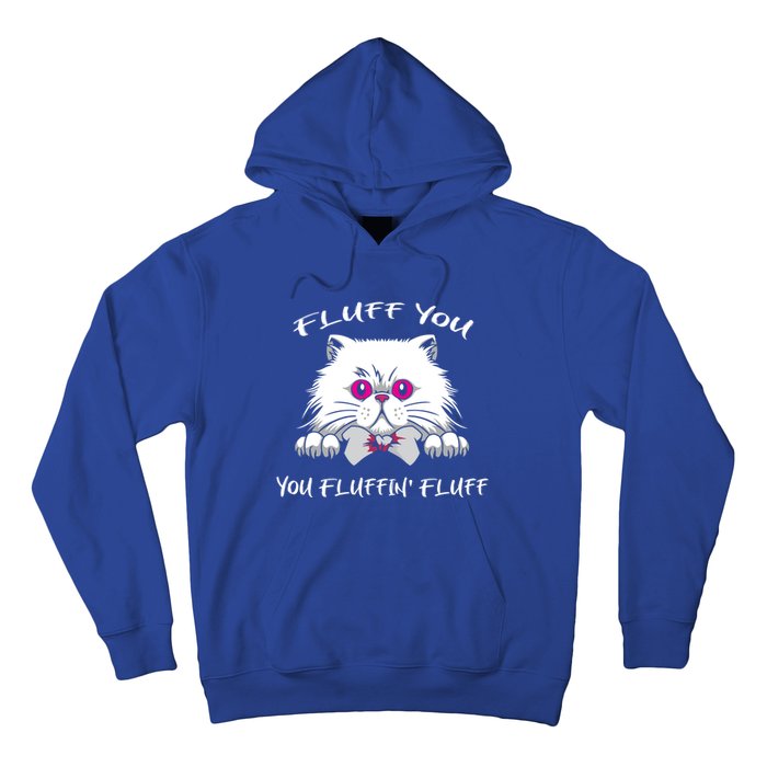 Fluff You You Fluffin' Fluff Gift Funny Cat Kitten Meaningful Gift Hoodie