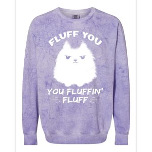 Fluff You You Fluffin' Fluff Gift Funny Cat Kitten Gift Colorblast Crewneck Sweatshirt