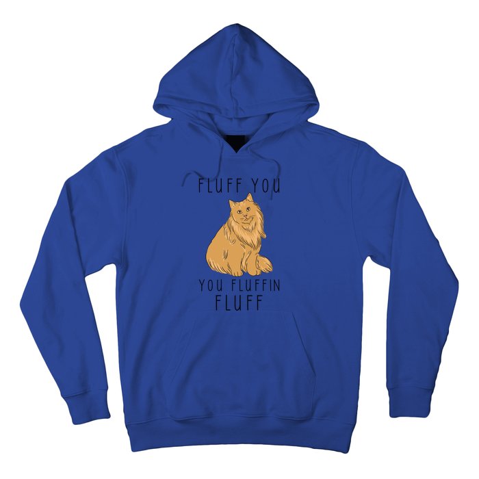 Fluff You You Fluffin Fluff Funny Cat Gift Hoodie