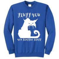 Fluff You You Fluffin' Fluff Gift Funny Cat Kitten Meaningful Funny Gift Sweatshirt