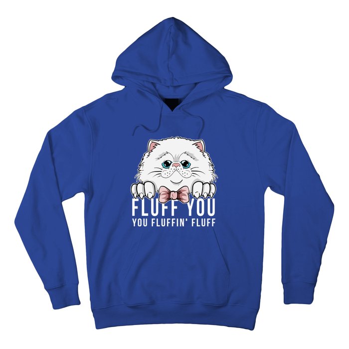 Fluff You You Fluffin' Fluff Outfit Funny Cat Kitten Design Gift Hoodie