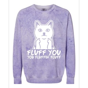 Fluff You You Fluffin Fluff Gift Funny Cat Kitten Lovers Gift Colorblast Crewneck Sweatshirt