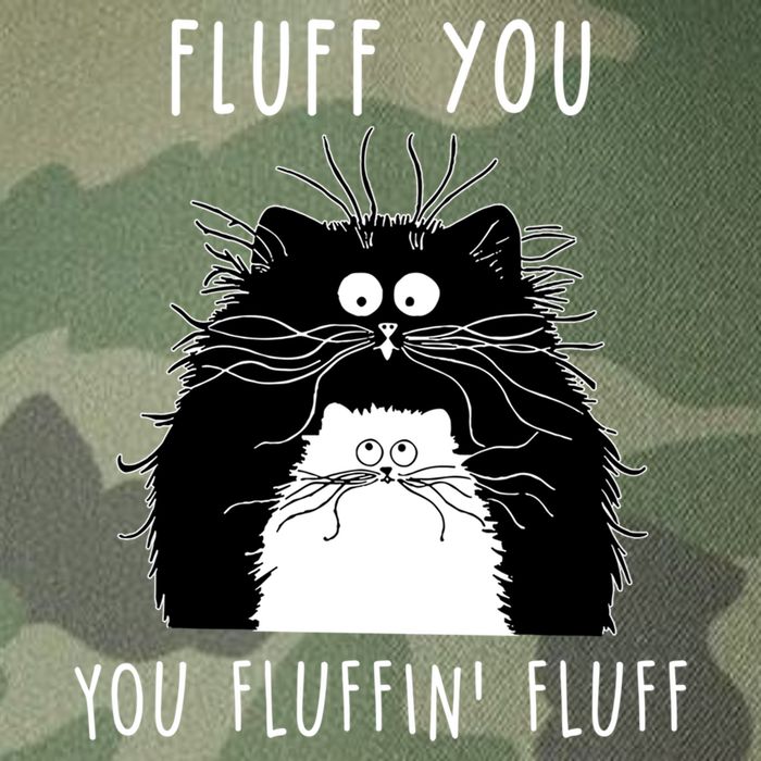Fluff You You Fluffin' Fluff Cat Funny Sarcasm Cat Lover Gift Legacy Tie Dye Trucker Hat
