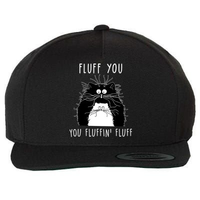 Fluff You You Fluffin' Fluff Cat Funny Sarcasm Cat Lover Gift Wool Snapback Cap