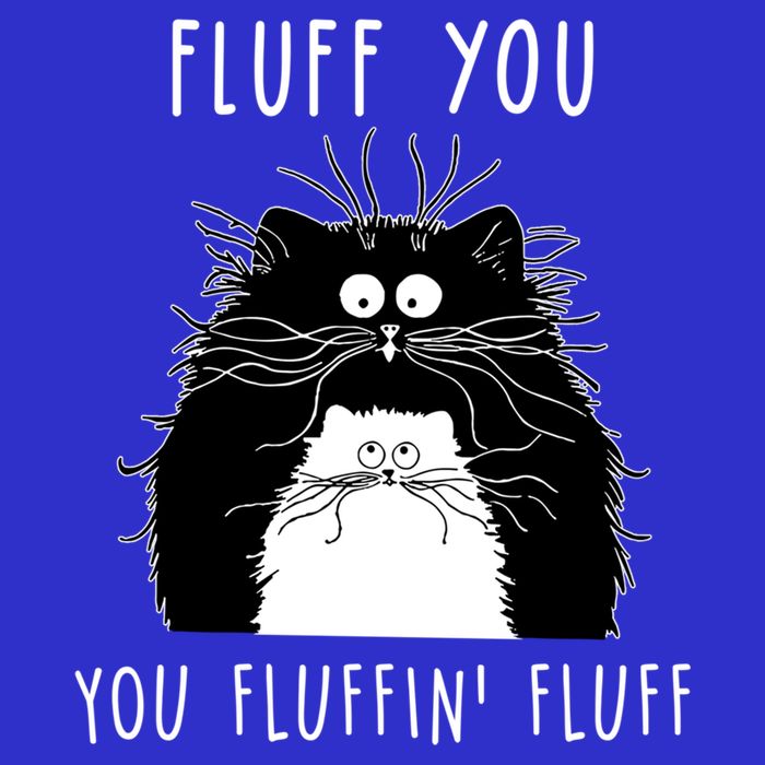 Fluff You You Fluffin' Fluff Cat Funny Sarcasm Cat Lover Gift Poster