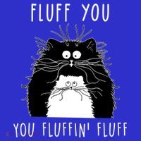 Fluff You You Fluffin' Fluff Cat Funny Sarcasm Cat Lover Gift Pom Pom 12in Knit Beanie