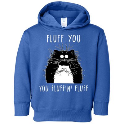 Fluff You You Fluffin' Fluff Cat Funny Sarcasm Cat Lover Gift Toddler Hoodie