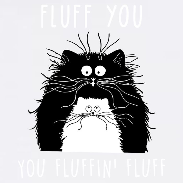 Fluff You You Fluffin' Fluff Cat Funny Sarcasm Cat Lover Gift Garment-Dyed Sweatshirt