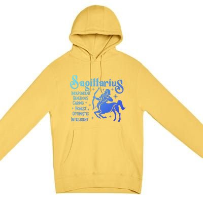 Funny Zodiac Astrology Sagittarius Horoscope Gift Premium Pullover Hoodie