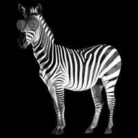 Funny Zebra Design For Animal Zebra Lover 7-Panel Snapback Hat