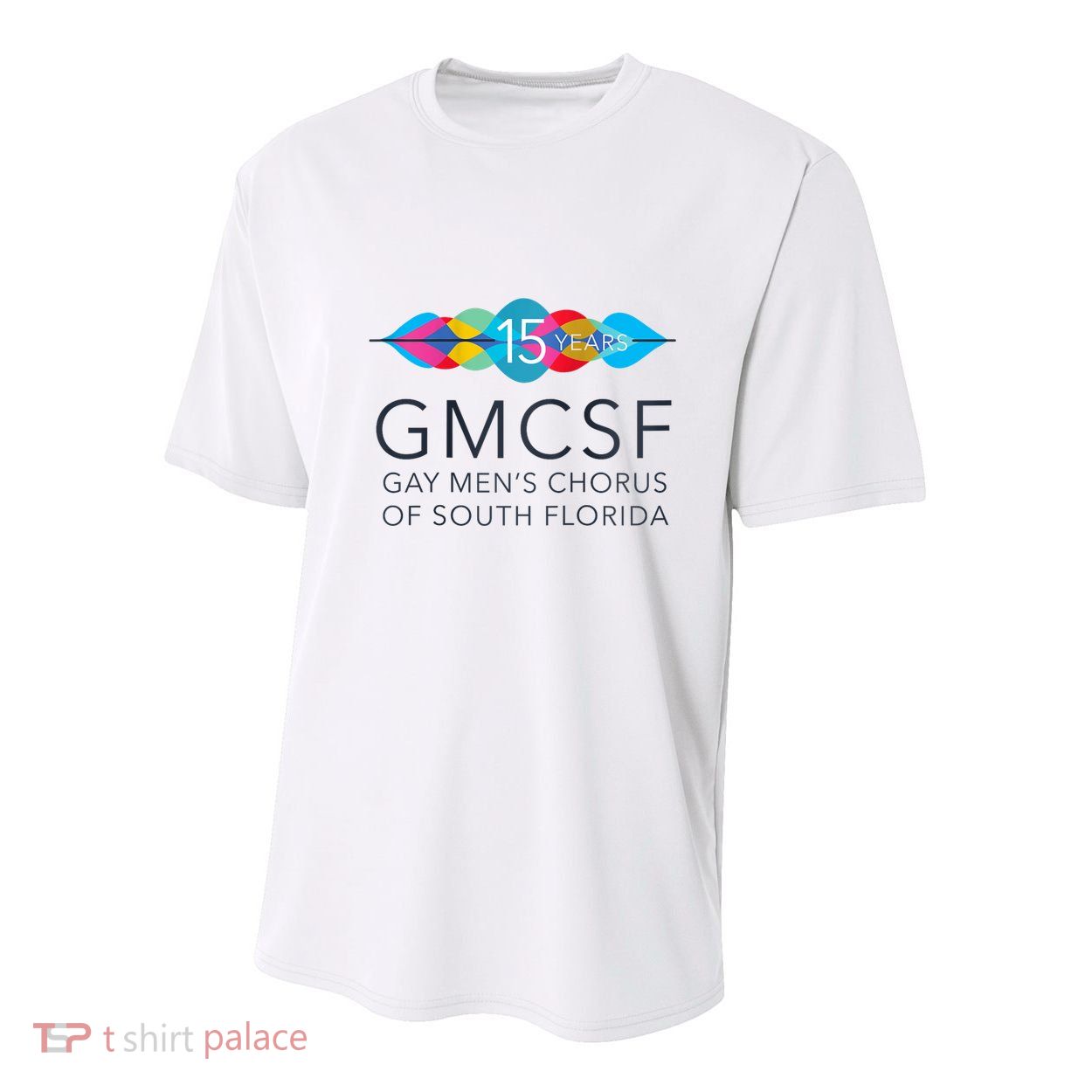 Gmcsf 15th Anniversary Logo White Raglan Baseball Youth Performance Sprint T-Shirt