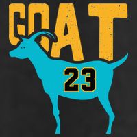 GOAT 23 Air Retro Aqua 5s Matching Adult Drive Performance Visor