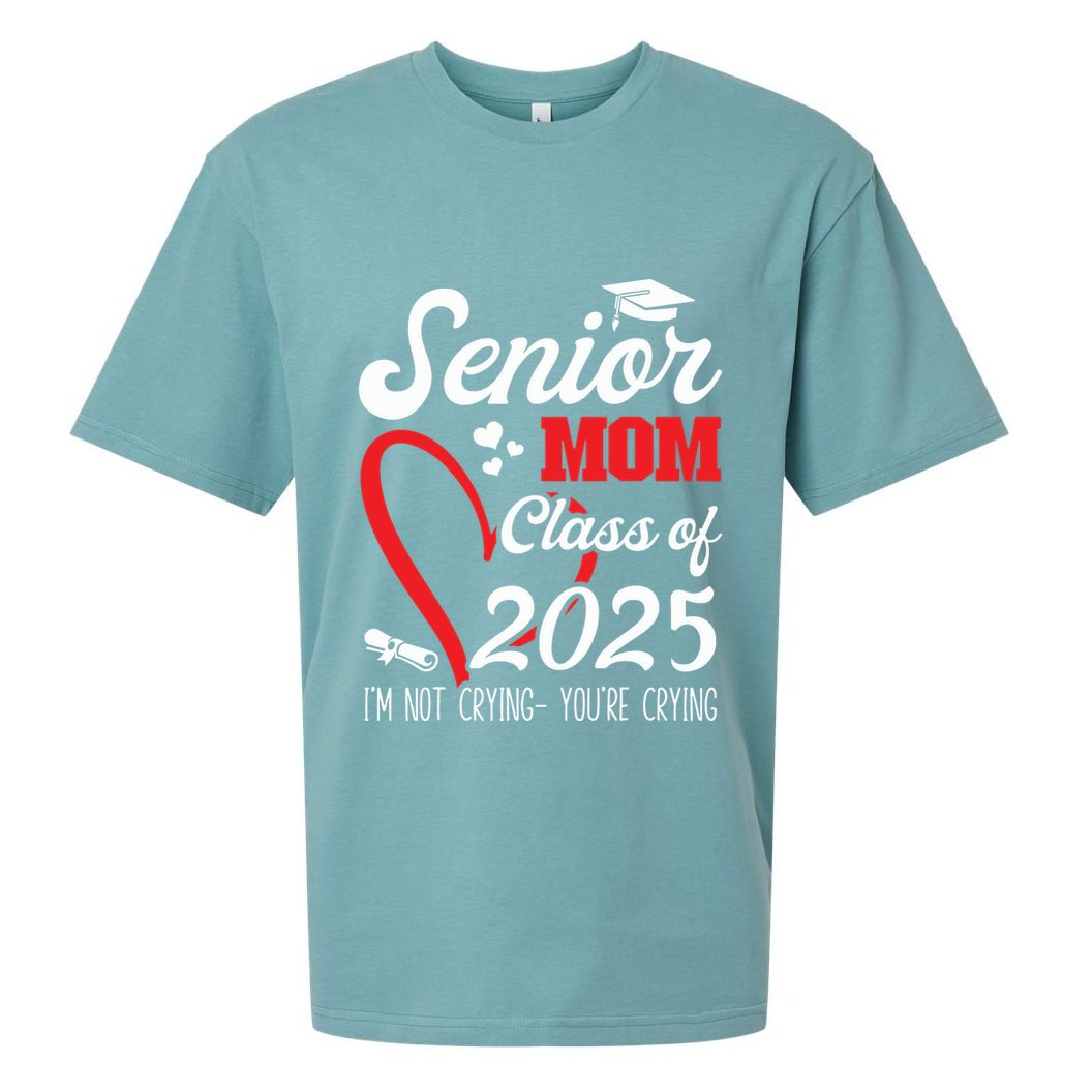 Graduation 2025 Back To School Sueded Cloud Jersey T-Shirt