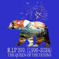 Grizzly 399 28 Years Old Memory The Queen Of The Tetons Stripe Pom Pom Beanie