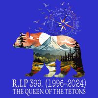 Grizzly 399 28 Years Old Memory The Queen Of The Tetons Button