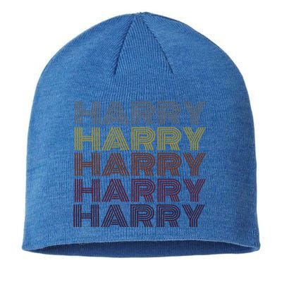 Graphic 365 First Name Harry Retro Pattern Vintage Style Gift Sustainable Beanie