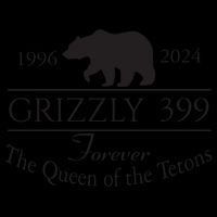 Grizzly 399 In Memory Of Bear 16oz Travel Tumbler