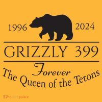 Grizzly 399 In Memory Of Bear Pom Pom 12in Knit Beanie