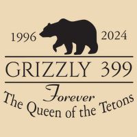Grizzly 399 In Memory Of Bear Drawstring Bag