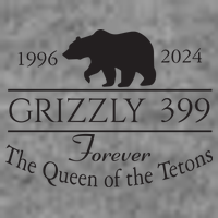Grizzly 399 In Memory Of Bear Toddler Hoodie