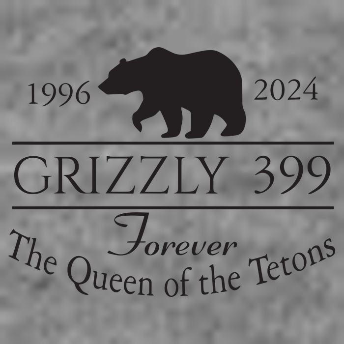 Grizzly 399 In Memory Of Bear Toddler Hoodie