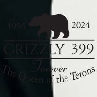 Grizzly 399 In Memory Of Bear Infant Baby Jersey Bodysuit