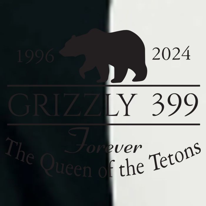 Grizzly 399 In Memory Of Bear Infant Baby Jersey Bodysuit