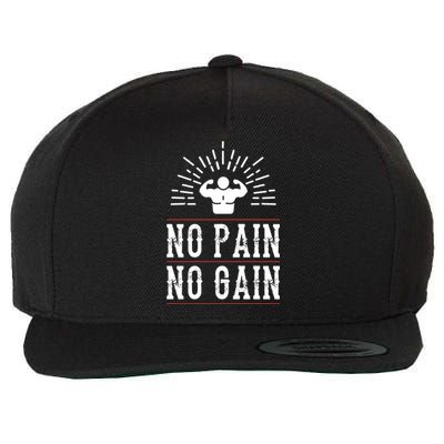 Graphic 365 No Pain No Gain Gym Workout Fitness Funny Humor Cute Gift Wool Snapback Cap