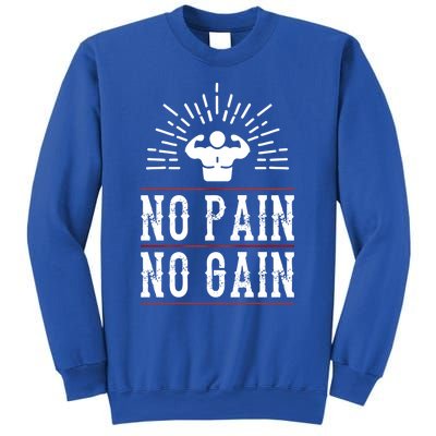 Graphic 365 No Pain No Gain Gym Workout Fitness Funny Humor Gift Sweatshirt