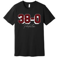 Gamecock 380 Perfection Premium T-Shirt