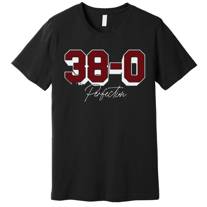 Gamecock 380 Perfection Premium T-Shirt