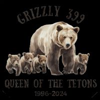 Grizzly 399 Queen Of The Tetons National Park Bear Flexfit Unipanel Trucker Cap