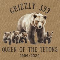 Grizzly 399 Queen Of The Tetons National Park Bear Cotton Canvas Backpack
