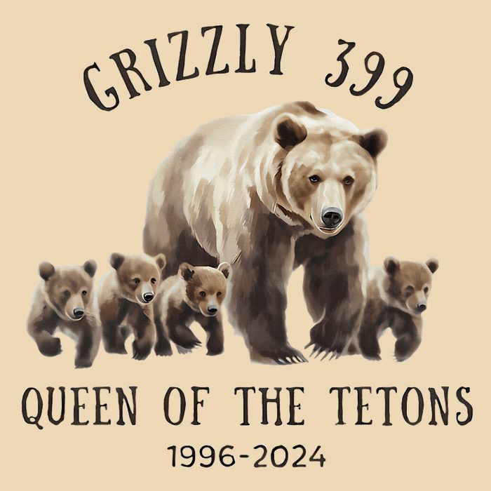 Grizzly 399 Queen Of The Tetons National Park Bear Drawstring Bag
