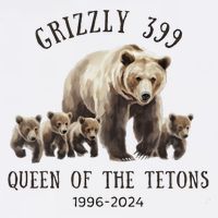 Grizzly 399 Queen Of The Tetons National Park Bear Womens T-Shirt