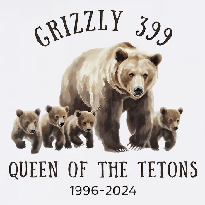 Grizzly 399 Queen Of The Tetons National Park Bear Womens T-Shirt