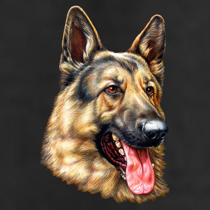 German Shepherd Face 11oz C Handle Ceramic Mug